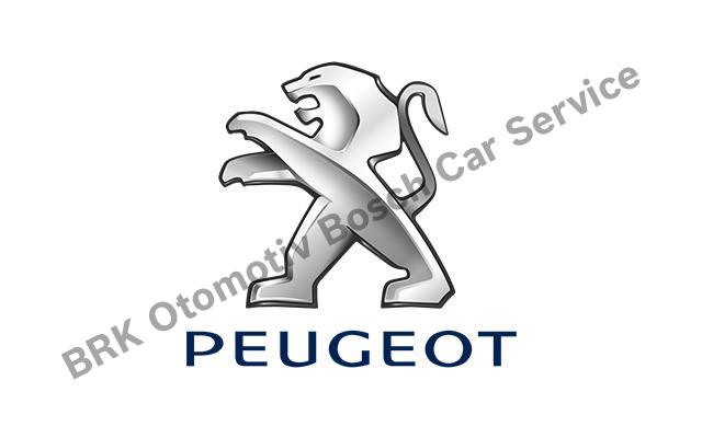 Esenyurt Peugeot Servisi